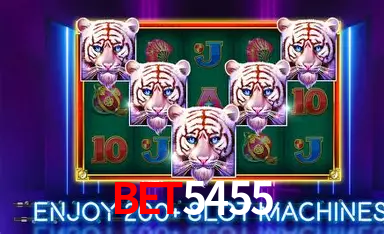 bet5455: A Experiência de Casino com Jogos de Mesa ao Vivo